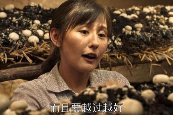 1996年命火:探索火的象征与人生启示 1996年命火:探索火的象征与人生启示