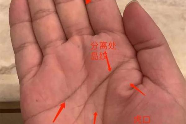 根据掌纹解读,哪些女命运势最佳?掌握运势秘诀! 根据掌纹解读,哪些女命运势最佳?掌握运势秘诀!