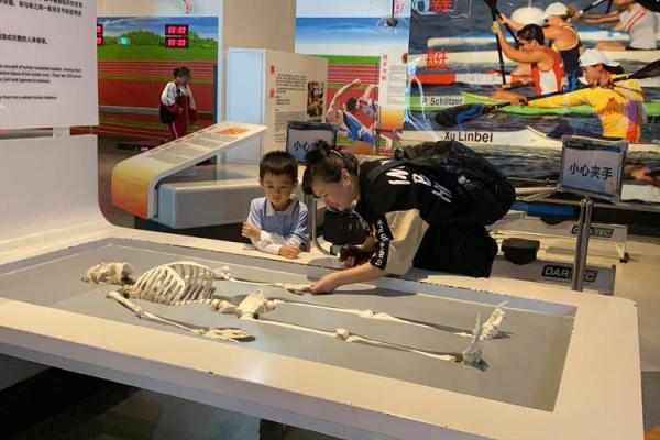 探索骨架4.6命运的奥秘:解析其独特的人生特征与潜力 探索骨架4.6命运的奥秘:解析其独特的人生特征与潜力