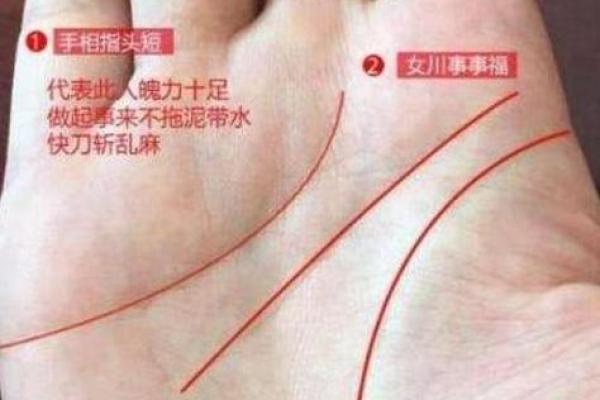 2019年出生的人命运解析:聪明与机遇并存的新生代! 2019年出生的人命运解析:聪明与机遇并存的新生代!