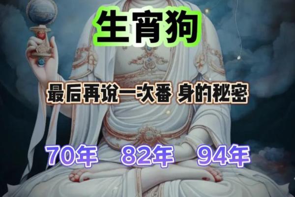 1994年出生的男狗,命运与性格的深度解析 1994年出生的男狗,命运与性格的深度解析