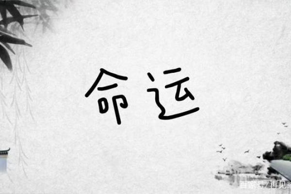 山头火命运:适合的车色与人生的精彩旅程 山头火命运:适合的车色与人生的精彩旅程