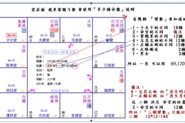 2018年出生命格解析:探索命理与趋吉避凶的智慧之道 2018年出生命格解析:探索命理与趋吉避凶的智慧之道