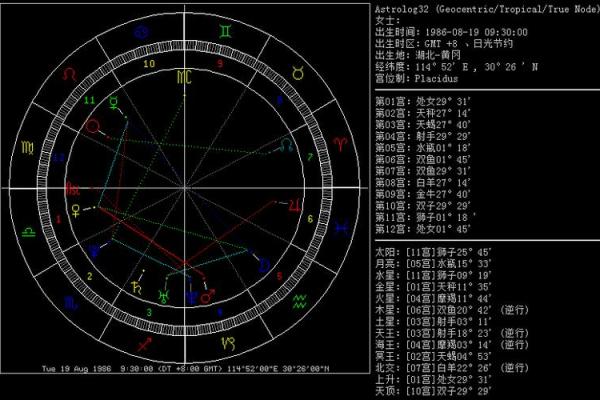 2019年腊月出生的人命运解析:命格、性格与未来发展 2019年腊月出生的人命运解析:命格、性格与未来发展