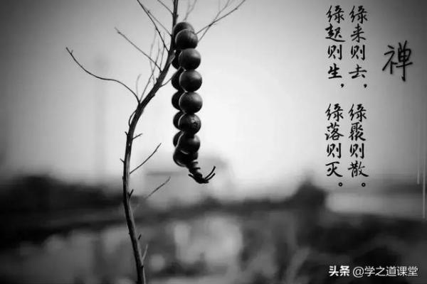 通根命格解读:命理八字中的深层智慧与人生启示 通根命格解读:命理八字中的深层智慧与人生启示