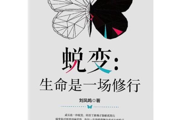 1991年11月的命运轨迹:生命中的蜕变与反思 1991年11月的命运轨迹:生命中的蜕变与反思