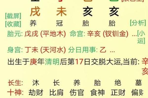 2010年的命格:揭示八字中的风水运势与人生轨迹 2010年的命格:揭示八字中的风水运势与人生轨迹
