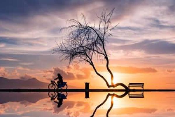 属金命的人生活指南:保持内心平衡与事业发展的秘诀 属金命的人生活指南:保持内心平衡与事业发展的秘诀