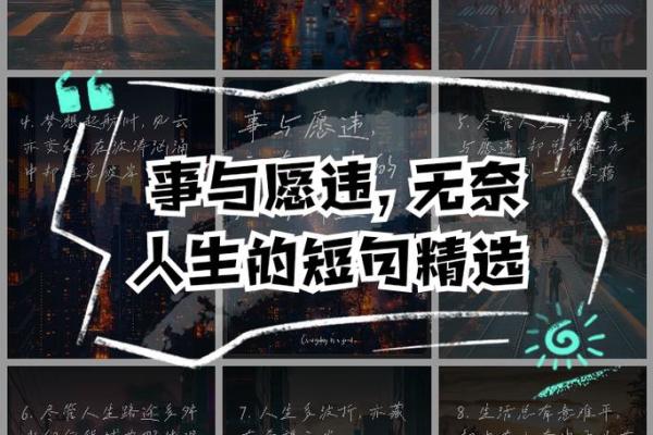 秦冉:一命换一命的宿命与选择,人生的无奈与坚持 秦冉:一命换一命的宿命与选择,人生的无奈与坚持