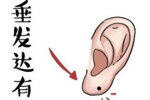 爱睡觉的人有何命格?揭开天赋与性格的奥秘 爱睡觉的人有何命格?揭开天赋与性格的奥秘