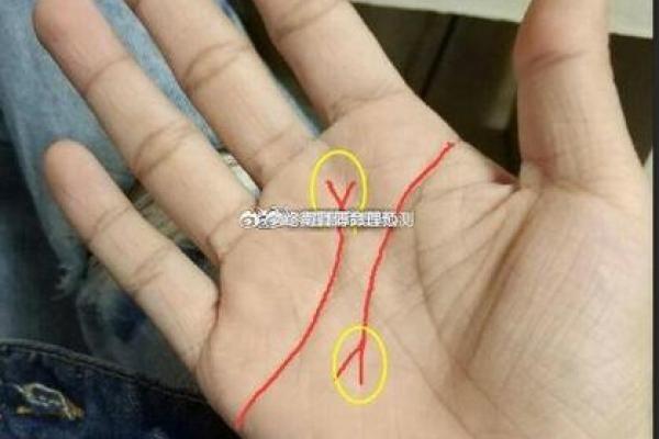 命格分析:哪些类型的人更容易单身? 命格分析:哪些类型的人更容易单身?