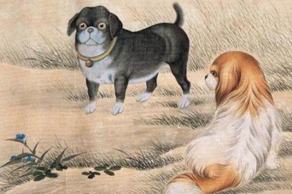 1980年属狗之人的命运与性格解析,解读生肖背后的智慧 1980年属狗之人的命运与性格解析,解读生肖背后的智慧