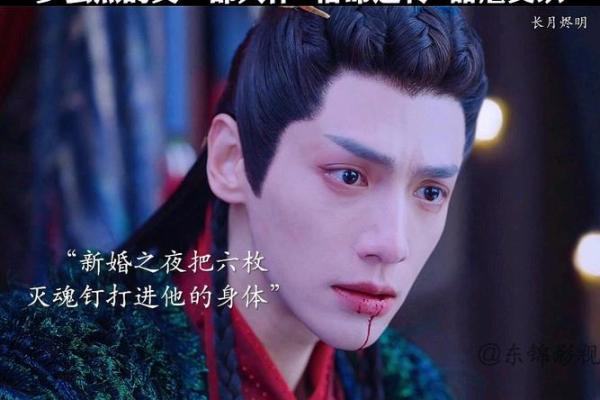 算你的命,养他的命:探索宿命与责任的交织 算你的命,养他的命:探索宿命与责任的交织