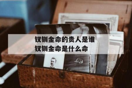 金命人生：光芒四射的成功之路与内心探索之旅