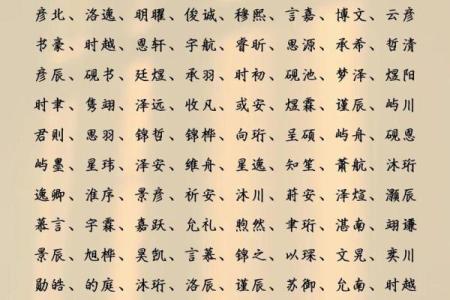 如何为男孩取名：流行姓氏与寓意的完美结合