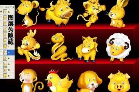 花钱替命，生肖里的深意与启示