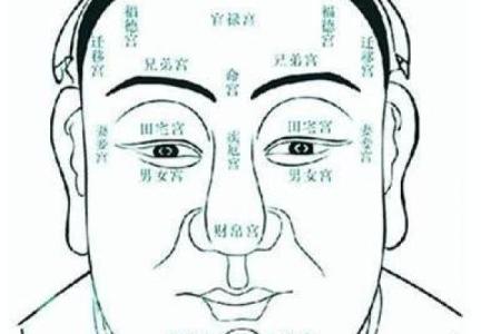 额头大凸出预示着什么命运？揭开面相之谜！