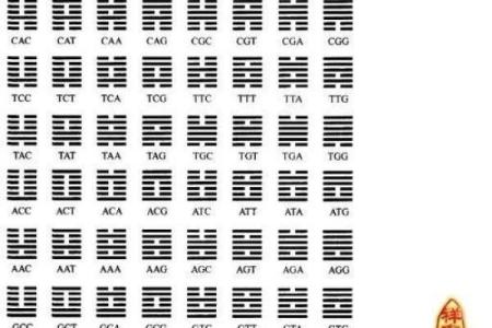 三阳一阴命：揭秘这种独特命格的性格与命运