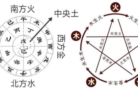 法身慧命的生肖奥秘：探秘五行与命理的深邃联系