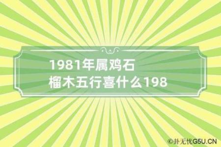 1981年出生的人究竟是什么木命？揭秘五行与命运的奥秘！