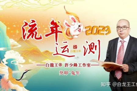2023兔年命理全解析：如何把握兔年的好运机遇？