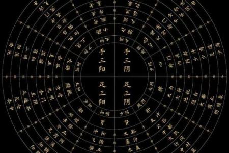 解读六三辛命：八字中的独特个性与命运轨迹