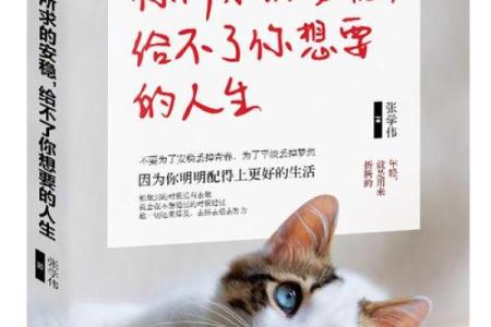 1993年出生的你：命运与机遇交织的人生旅程