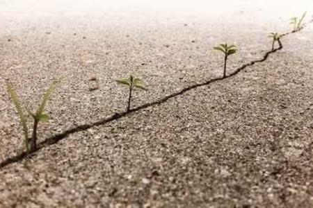 视力不好的女人：命运的挑战与生命的精彩