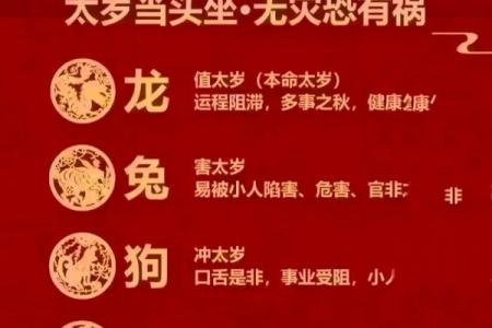 52年是什么年什么命：探索属龙人的人生旅程与命运