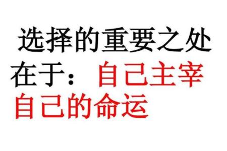 逆风扬帆，命运的转折与成语智慧的深意