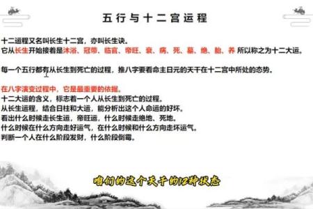 解析寅时340的命运之玄机：从五行看命理