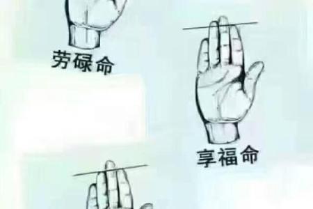 手指与命运：从手相看你的未来与性格特点