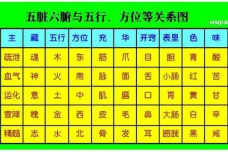 把脉肺脾命：探究健康与命运的关系与内在联系