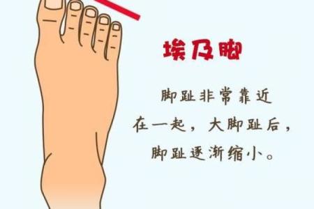 什么样的脚型代表男孩的富贵命运？