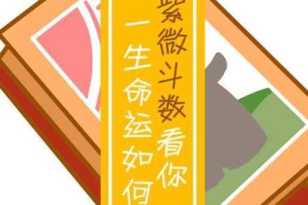 揭开八字命局与姓名命盘的神秘面纱，窥探命运玄机