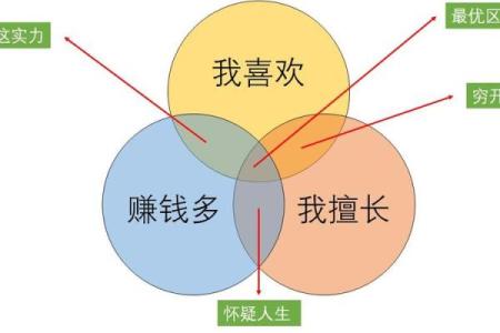 剖杂之命：揭示命格背后的深意与人生道路的选择