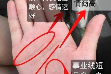 根据掌纹解读，哪些女命运势最佳？掌握运势秘诀！