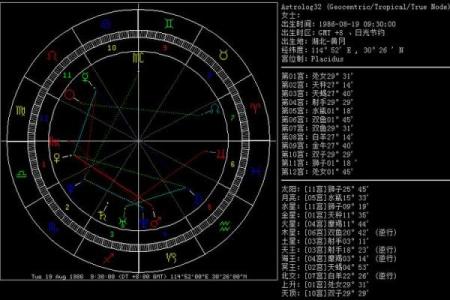 2019年腊月出生的人命运解析：命格、性格与未来发展