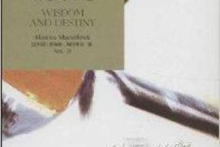 1991年出生的人命格解析：揭示命运的奥秘与人生智慧