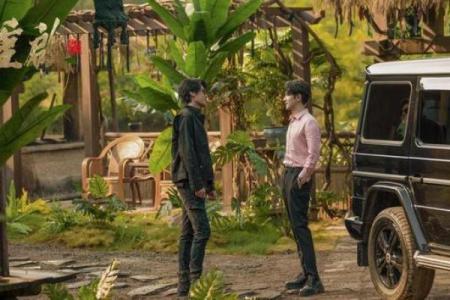 鹿之险境：命悬一线的惊险故事