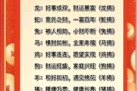 2023年兔年运势详解：水命兔的机遇与挑战解析