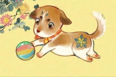 1980年属狗之人的命运与性格解析，解读生肖背后的智慧