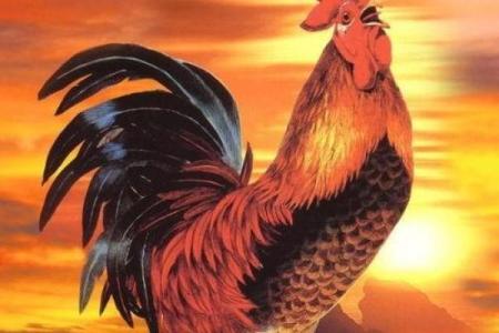 1769年属鸡之命：揭示命运中的光辉与挑战