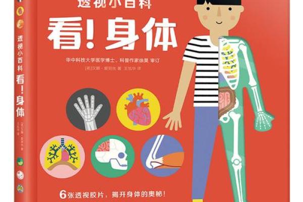 探讨骨相女性的命运:如何透视美丽与命运的奥秘 探讨骨相女性的命运:如何透视美丽与命运的奥秘