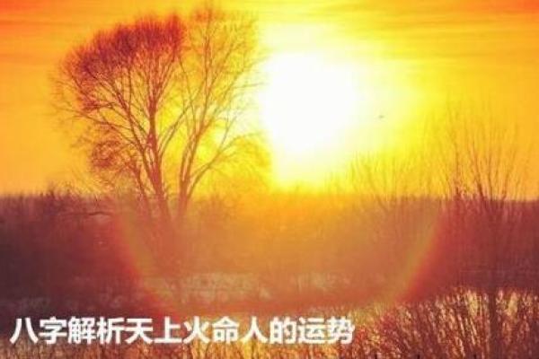 解析5.1两金:命理与运势的深度剖析 解析5.1两金:命理与运势的深度剖析