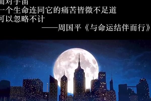 探秘1972年出生男性的命运之道:启示与建议 探秘1972年出生男性的命运之道:启示与建议