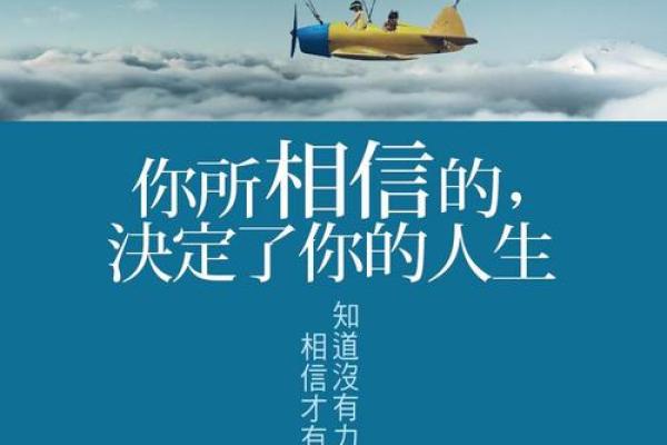 2007年出生的狗年命:探索与命运的奇妙旅程 2007年出生的狗年命:探索与命运的奇妙旅程