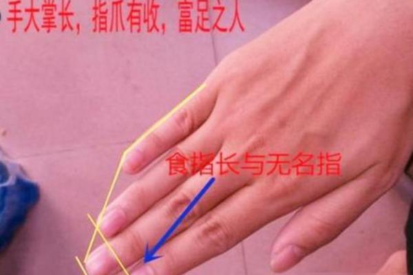 富贵命与三奇命的关系探究:命理中的深奥智慧 富贵命与三奇命的关系探究:命理中的深奥智慧