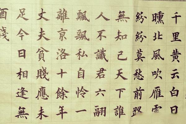 失之我命得之我命:人生中的得失与执念的哲学思考 失之我命得之我命:人生中的得失与执念的哲学思考