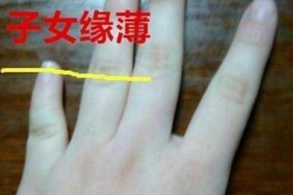 女人带阳山的命运解读：智慧与勇气并存的女性之路